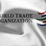 I. Olech: Ukraińskie zboże i kwestia WTO